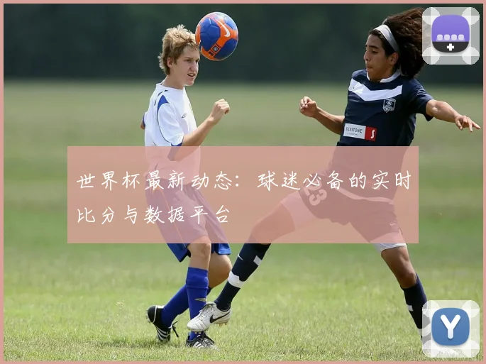 世界杯最新动态:球迷必备的实时比分与数据平台